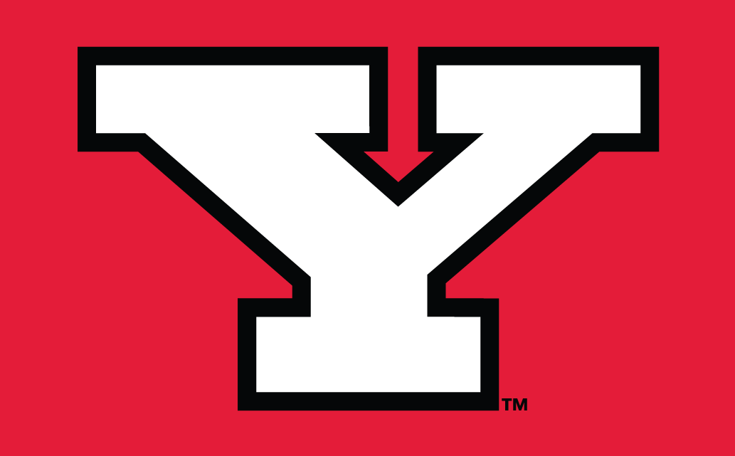 Youngstown State Penguins 1993-Pres Alternate Logo v3 diy iron on heat transfer